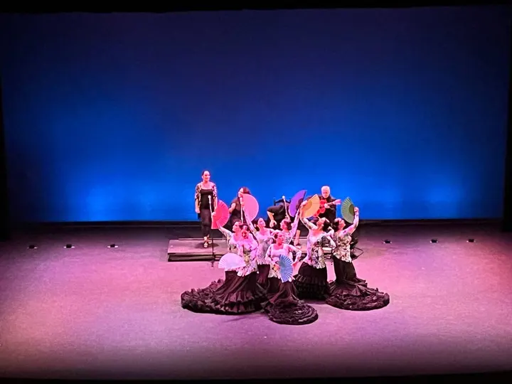 Centro De Baile Jerez — baile-studio en Jerez de la Frontera — 5