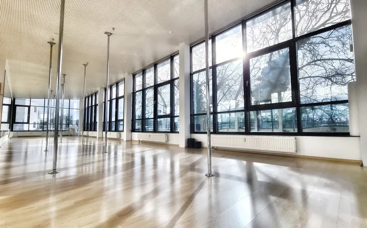 aerialflow - Schule für Tanzartistik (ehem. Pole Apartment) — Yoga in Buer, Gelsenkirchen