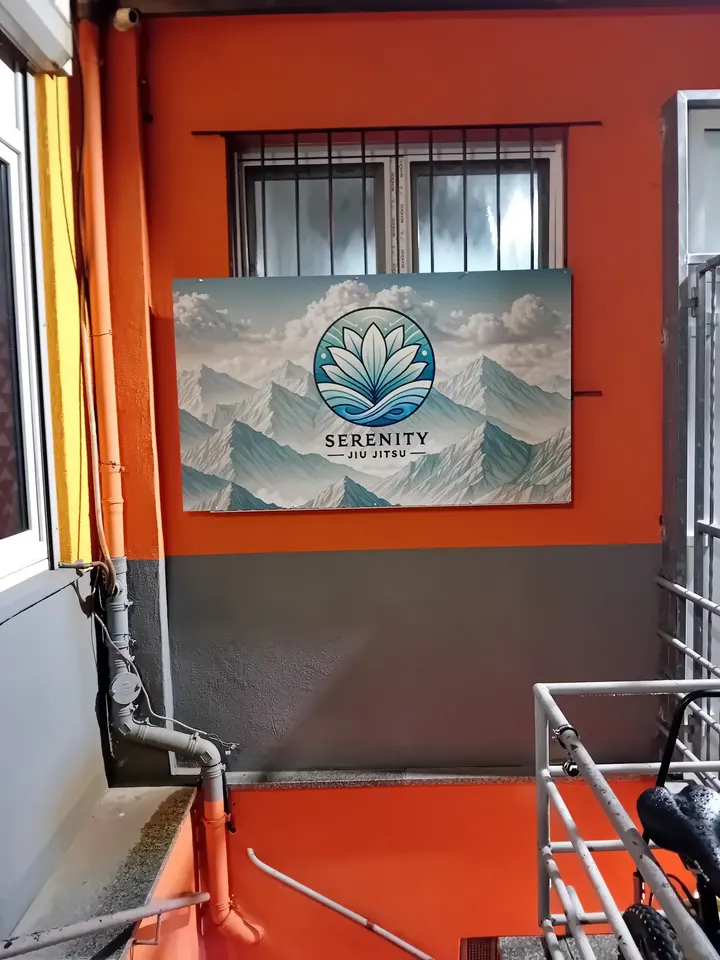 Serenity Jiu Jitsu — bjj-studio in Mannheim — 3