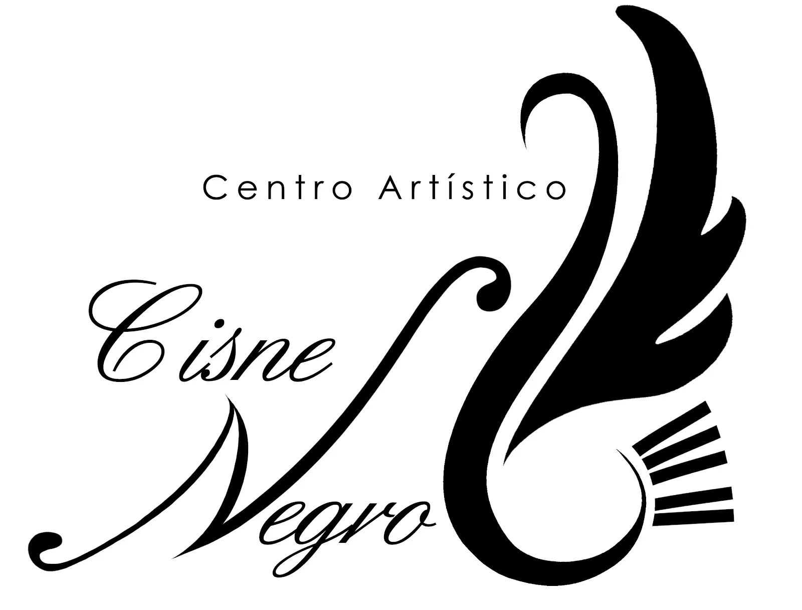 Centro Artístico Cisne Negro — baile-studio en Badajoz — 2