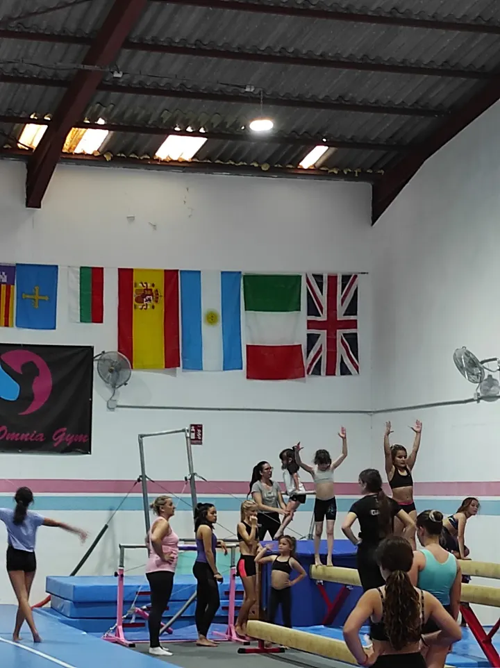 Club Gimnasia Omnia Gym — estudio de fitness-studio en Son Fortesa, Palma — 2