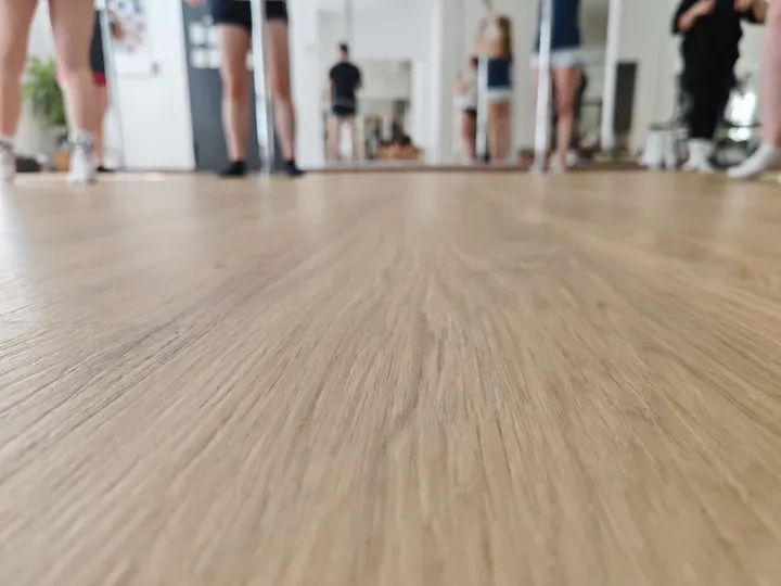 Pole Birdies — pole fitness-studio in Herzogenaurach — 4