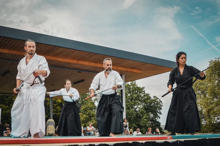 Kishinkaï Aïkido Panazol — arts martiaux-studio à Mas Chambard, Panazol — 3