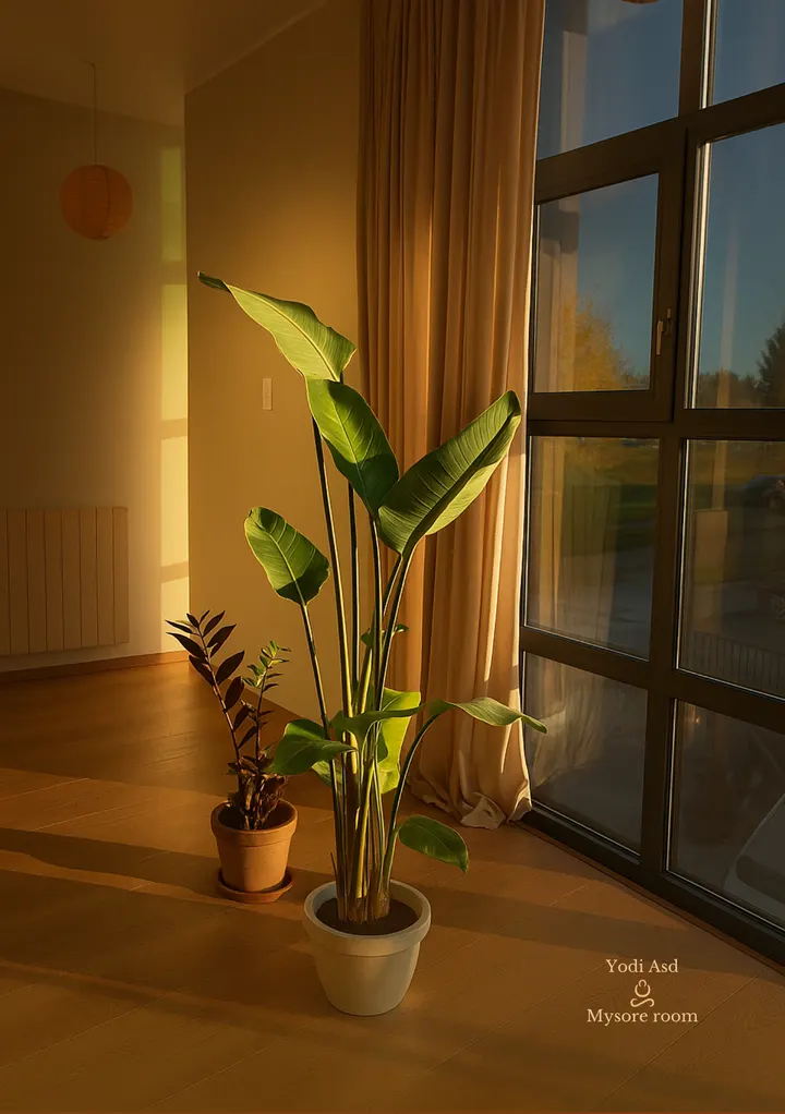 Yodi Asd-Ashtanga Yoga Studio — yoga-studio a Mozzo — 4