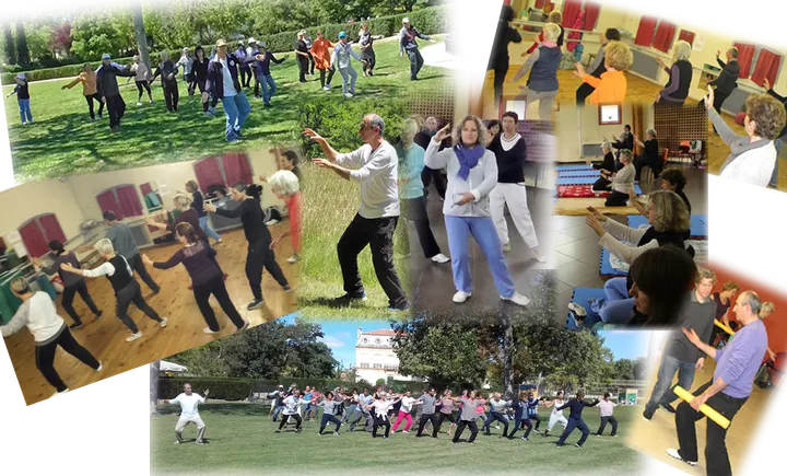 Association Aix Tai Chi — arts martiaux-studio à Pont de l'Arc, Aix-en-Provence — 3
