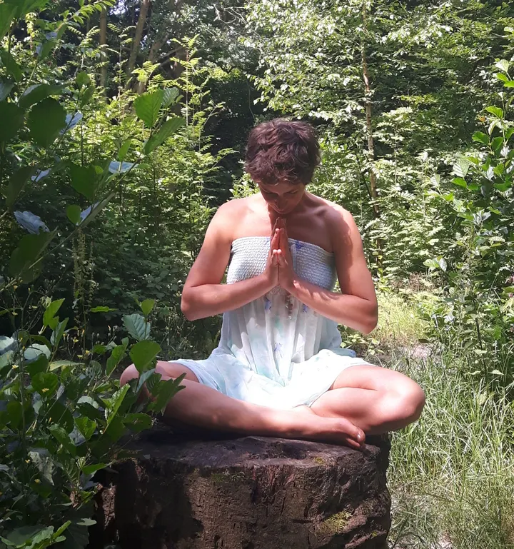Julysis Sattva Lichaamswerk & Yoga — Yoga in Scheveningen, Den Haag
