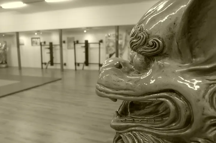 Martial Arts Academy Amsterdam — vechtsport-studio in Amsterdam — 3