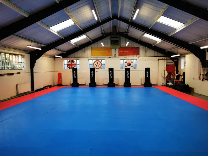 Tangun Taekwondo & Martial Arts — martial arts-studio in London — 3