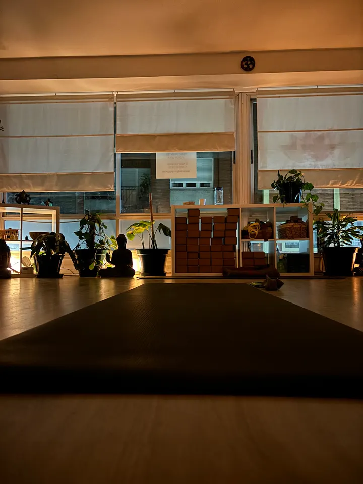 Satya Yoga — Yoga en Centro Norte, Oviedo