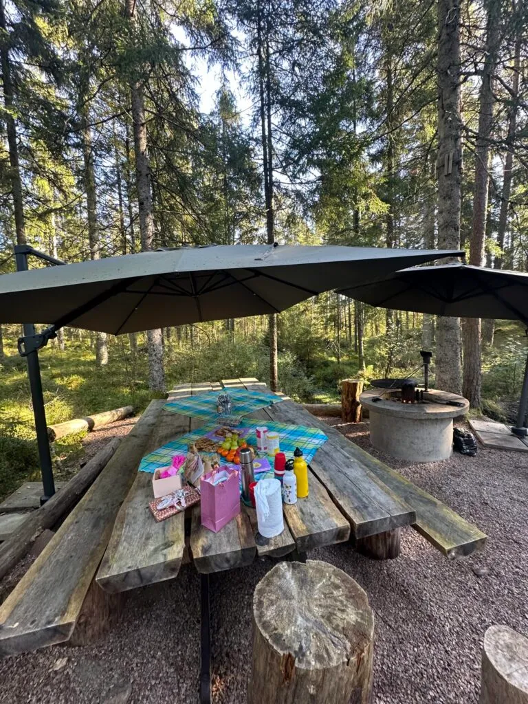 Buaskogen Adventure AB - Klätterpark/Höghöjdsbana — klättring-studio i Olsfors — bild 2