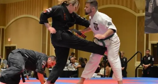 Association Randori — arts martiaux-studio à Quartier La Ferme / Les Îles / Les Chartreux, Issy-les-Moulineaux — 2