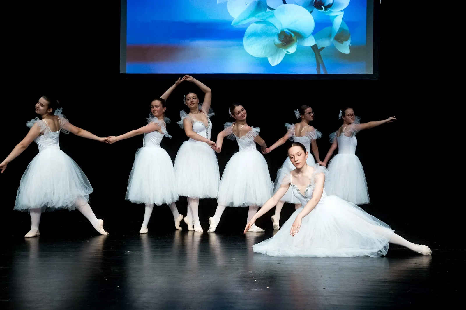Ballett — tanz-studio in Nordend West, Frankfurt am Main — 3