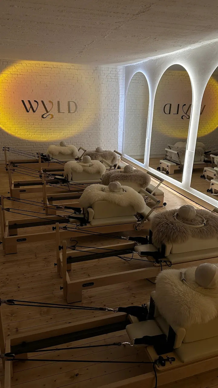 Wyld Studio — reformer pilates-studio in Südost, Wiesbaden — 2