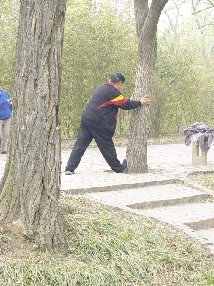 Taiji and Qigong London — meditation-studio in Somers Town, London — 3