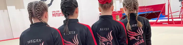 Eagles Gymnastics Club — gymnastics-studio in South Lynn, King's Lynn — 2