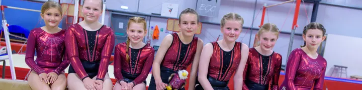 Eagles Gymnastics Club — gymnastics-studio in South Lynn, King's Lynn — 3