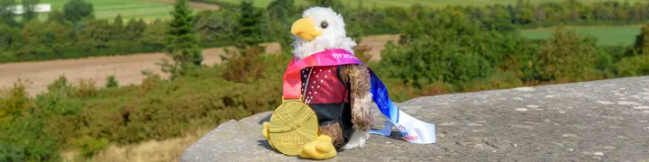 Eagles Gymnastics Club — gymnastics-studio in King's Lynn — 3