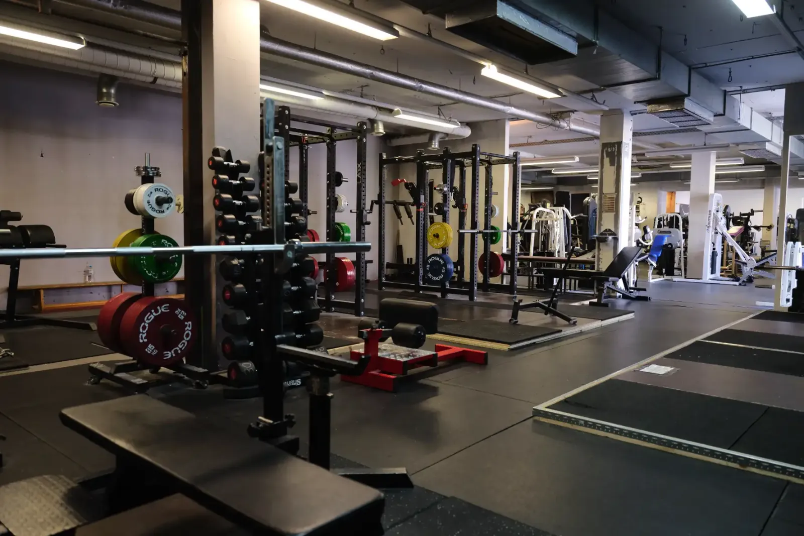 Trainingslager — styrketräning-studio i Köln — 5