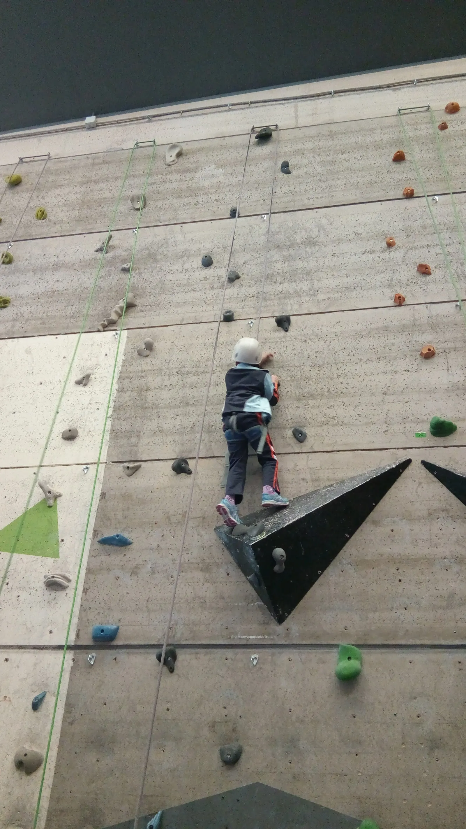 Rocódromo Puente de Roca S. L. — escalada-studio en Toledo — 4