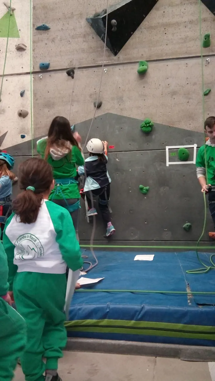 Rocódromo Puente de Roca S. L. — escalada-studio en Toledo — 5