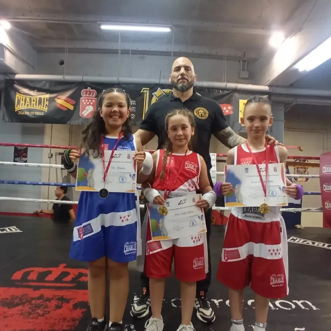 Gimnasio Ludus — boxeo-studio en Móstoles — 2