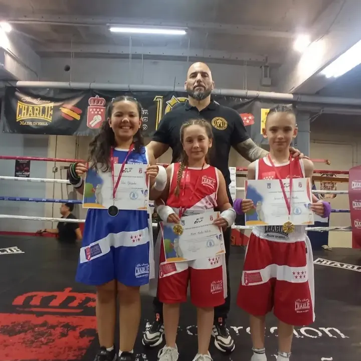 Gimnasio Ludus — boxeo-studio en Móstoles — 2