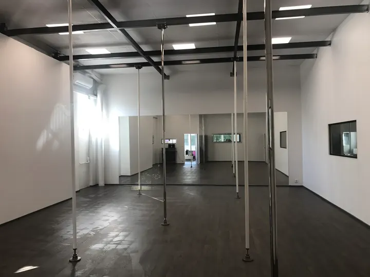Pole and Aerial Box — pole fitness-studio à Poisat — 2