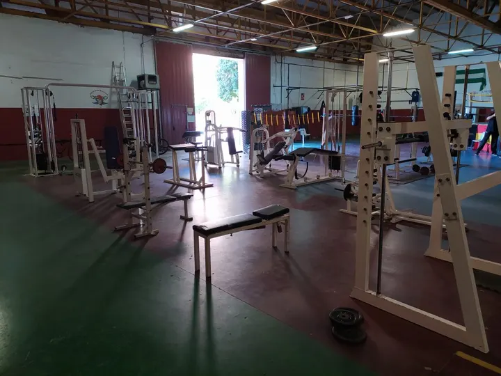 Whiskers Boxing Sevilla — Boxing en El Juncal-Híspalis, Sevilla