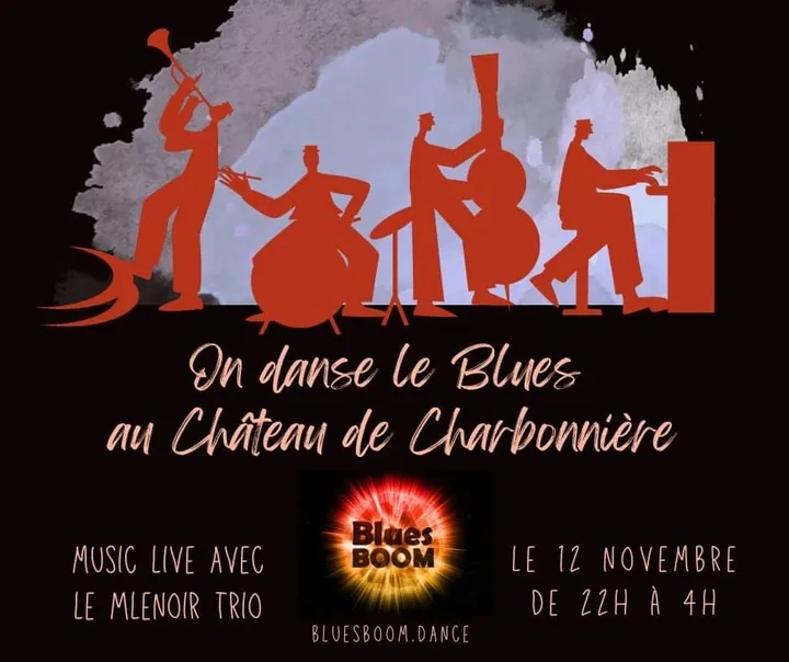 Association Blues Boom — danse-studio à Orléans — 5