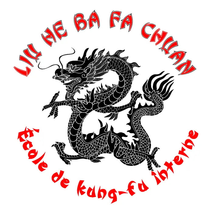 Kung fu Marseille Liu He Ba Fa ou la boxe de l'eau — Boxe à 4e Arrondissement, Marseille