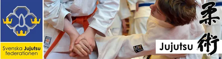 Svenska Ju-Jutsu Federationen — martial arts-studio i Södermalm, Stockholm