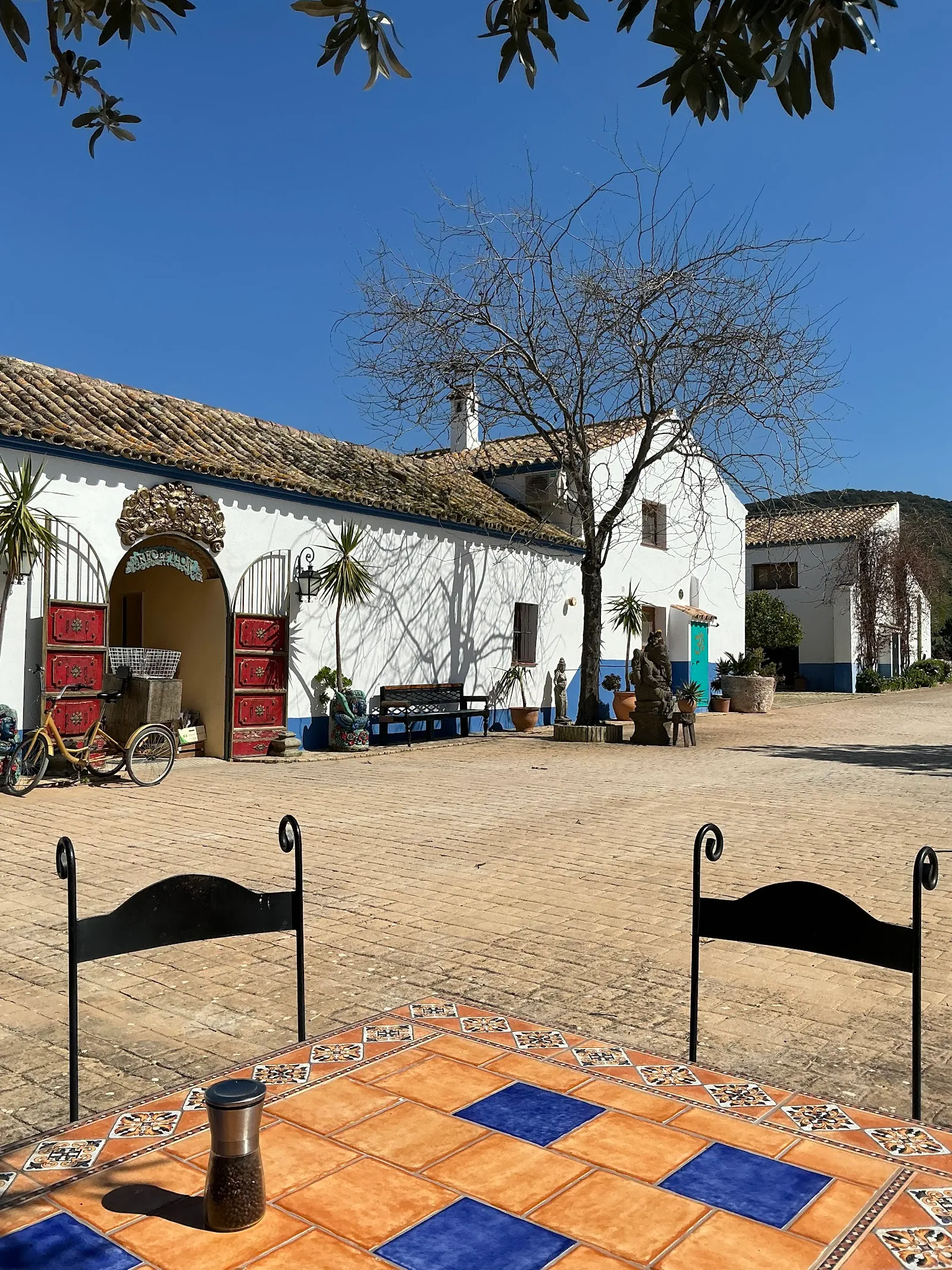Suryalila Retreat Centre — yoga-studio en Villamartin — 3