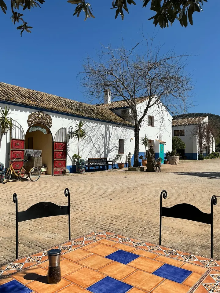 Suryalila Retreat Centre — yoga-studio en Villamartin — 3
