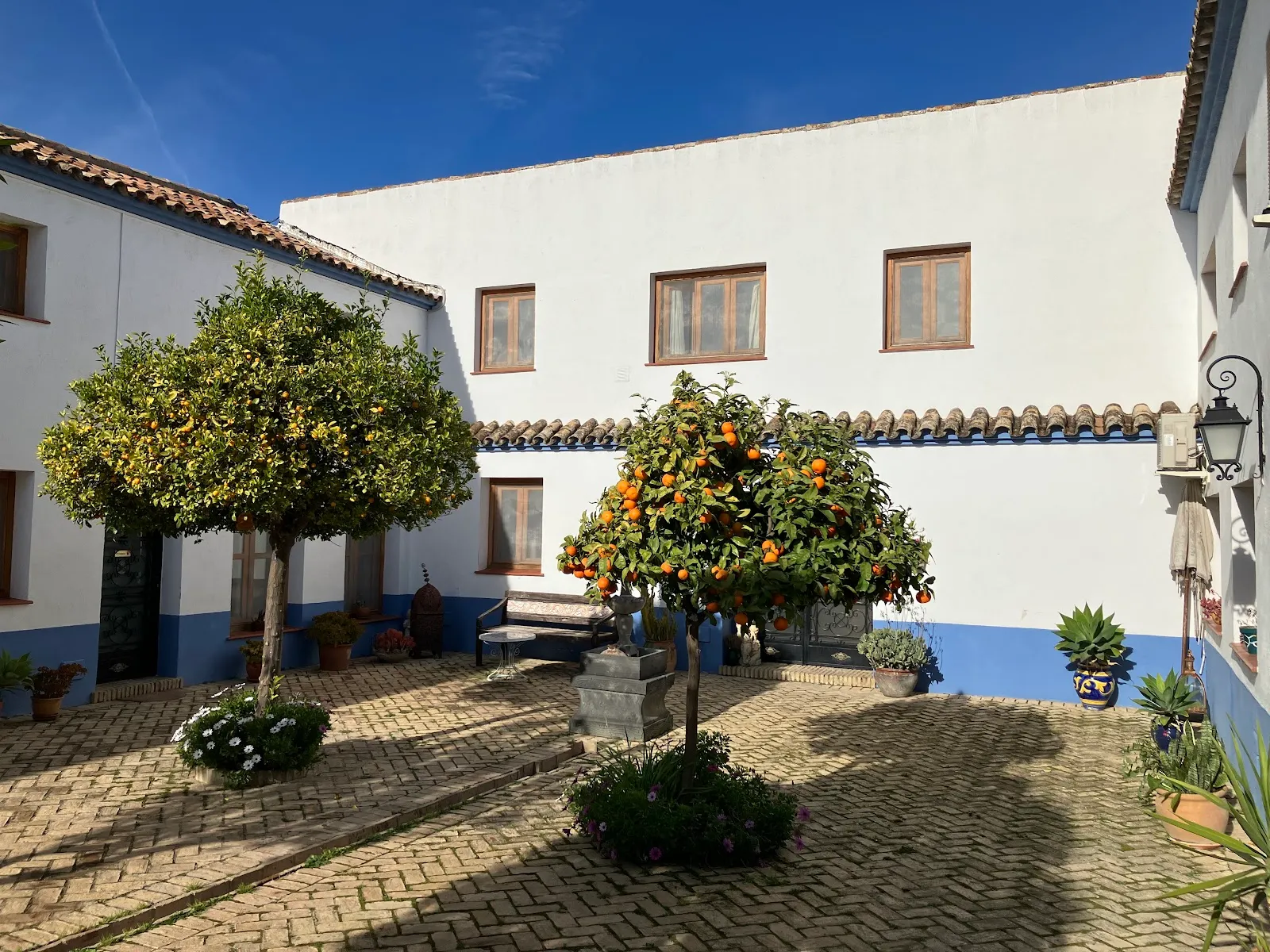 Suryalila Retreat Centre — yoga-studio en Villamartin — 3