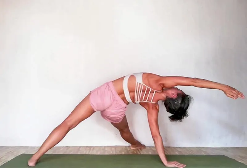 Cal Roig Yoga — yoga-studio i Jubalcoi — bild 2