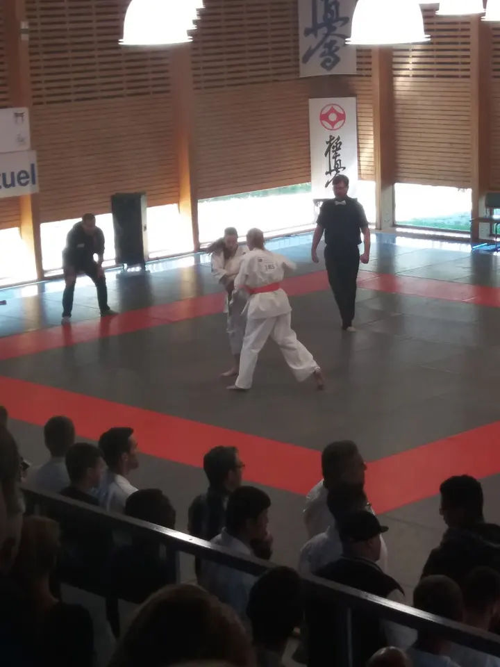 DOJO Jacques Vigier — arts martiaux-studio à Rabaterie, Saint-Pierre-des-Corps — 3