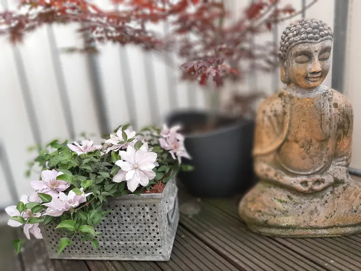 Kundalini Yoga Tara — yoga-studio in Paderborn — 4