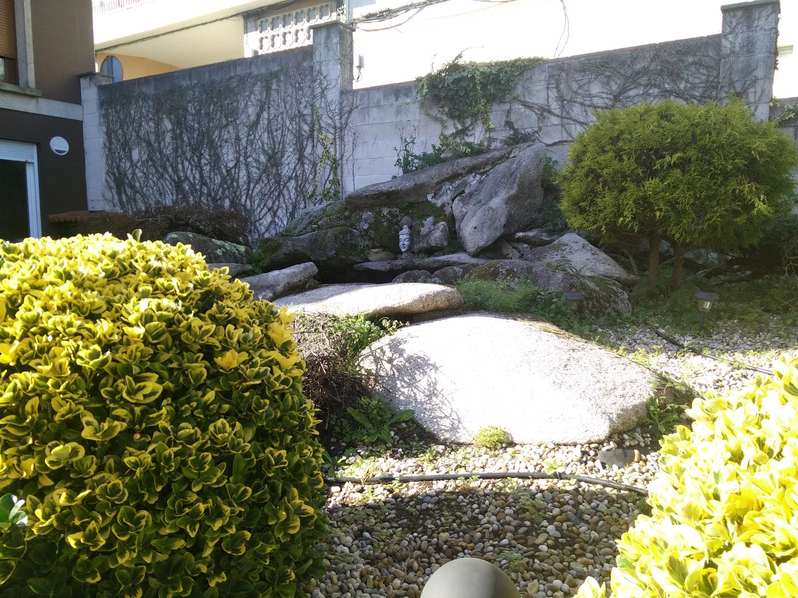 Centro Ajña — yoga-studio en O Grove — 2