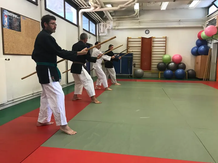 Toulouse Shubukan Kobudo d'Okinawa — arts martiaux-studio à Lardenne / Pradettes / Basso-Cambo, Toulouse — 3