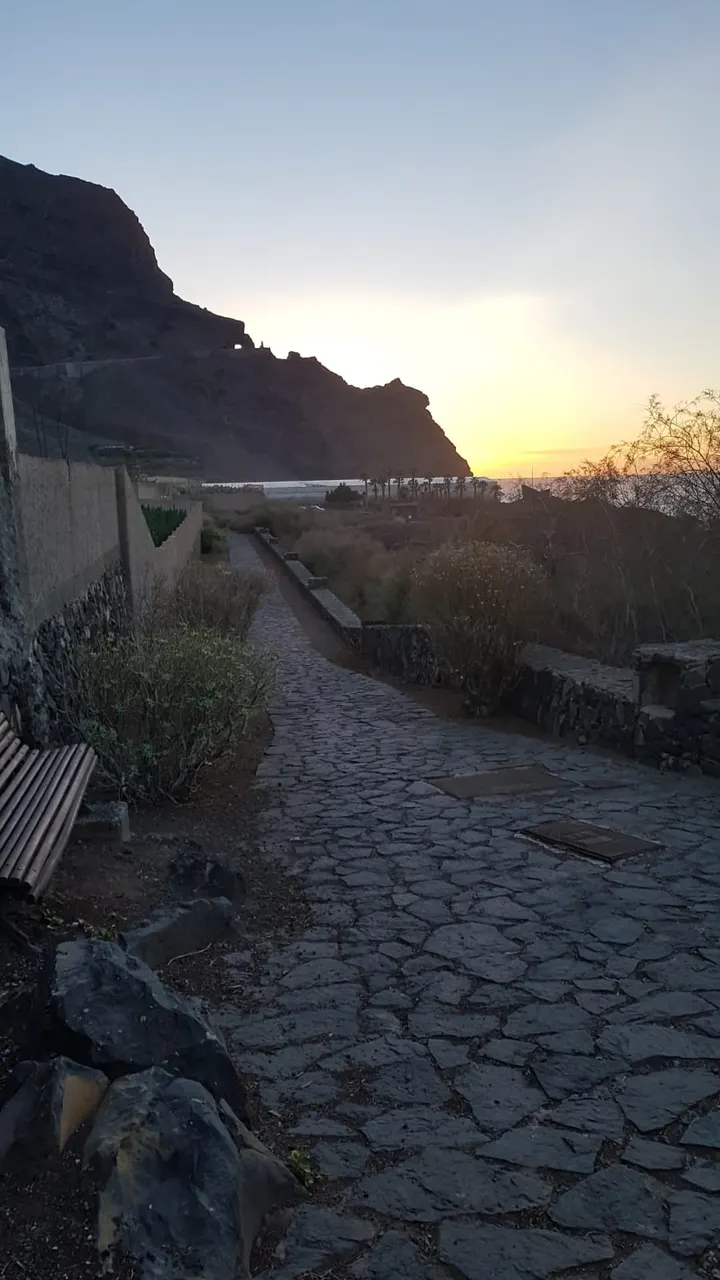 LSTribu Dance Studio — baile-studio en Santa Cruz de Tenerife — 4