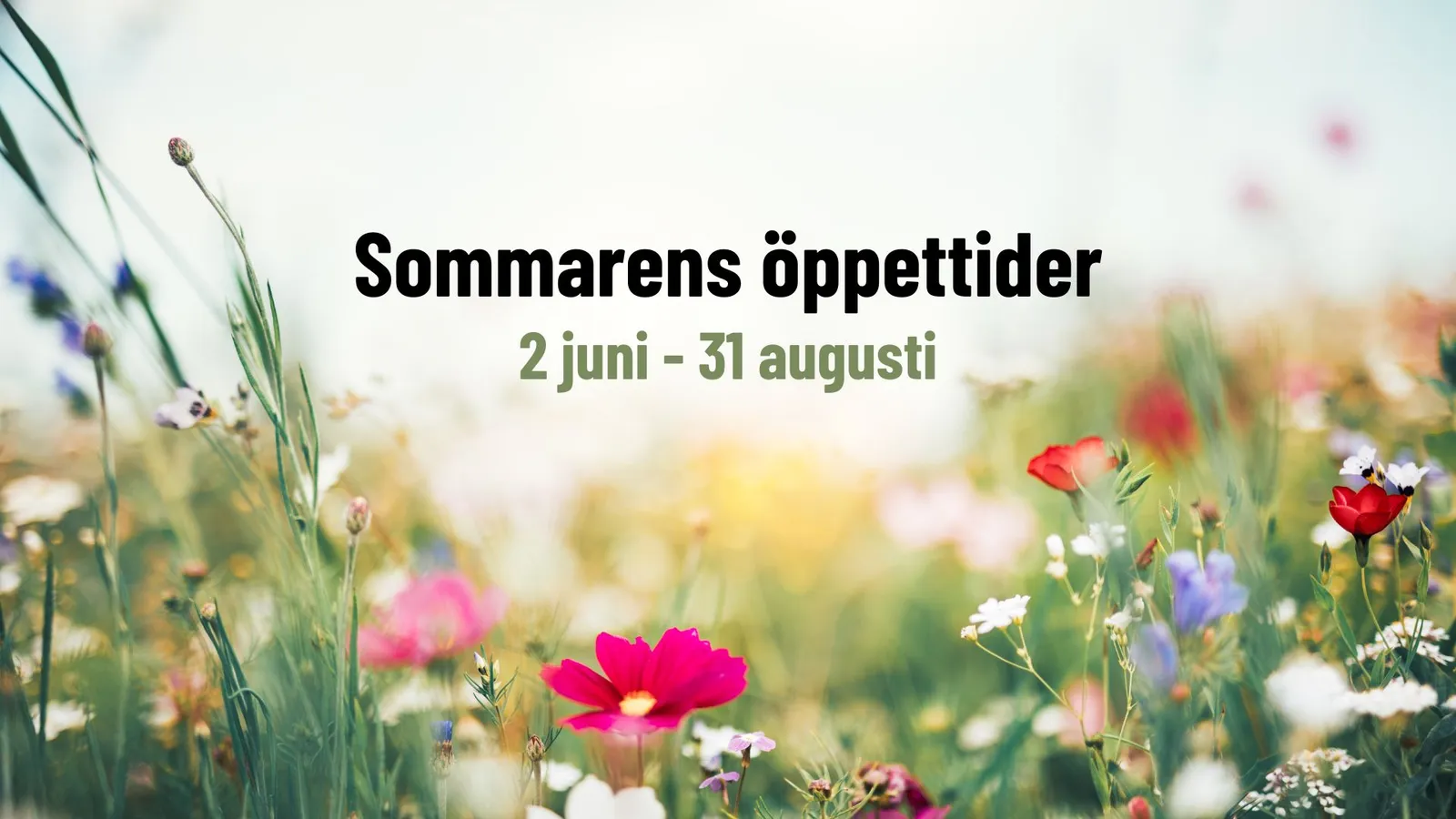 Baldershallen — träningsstudio-studio i Sundsvall — bild 3