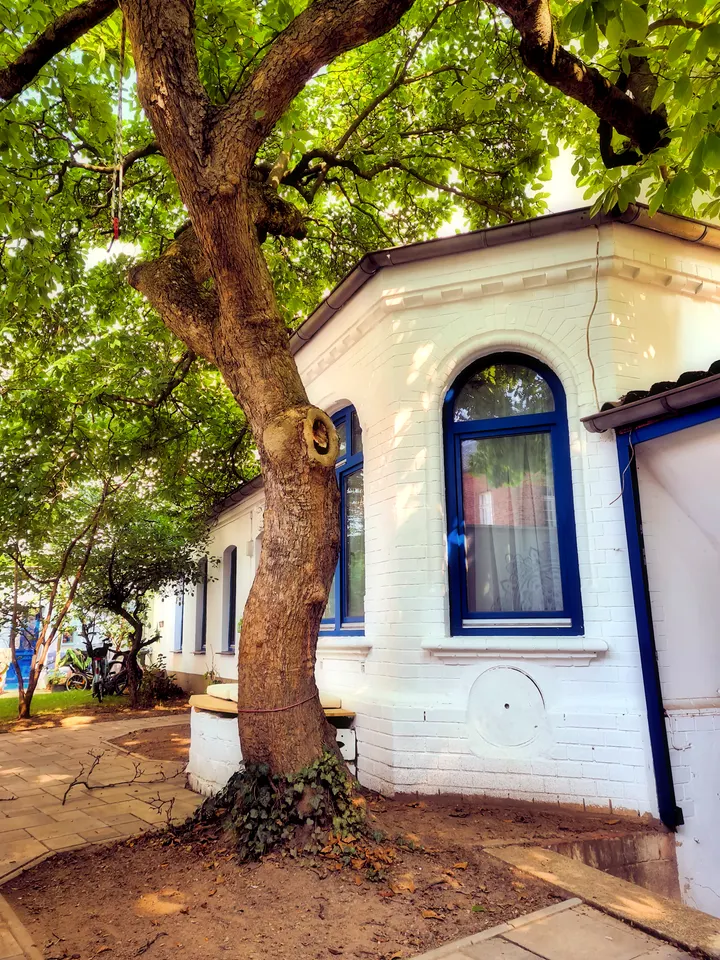 hanami flow YOGA — yoga-studio in Bonn — 4