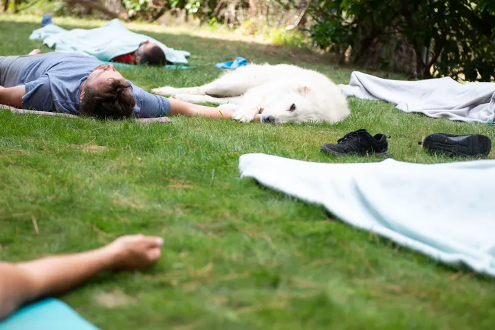 A.S.D.C. Yoga Your Life — yoga-studio a Palermo — 3