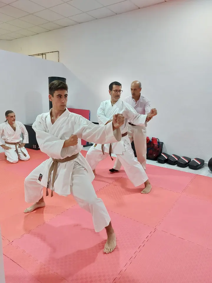 ENSO Centro de Actividades Dirigidas — yoga-studio en Altozano, Alicante — 3