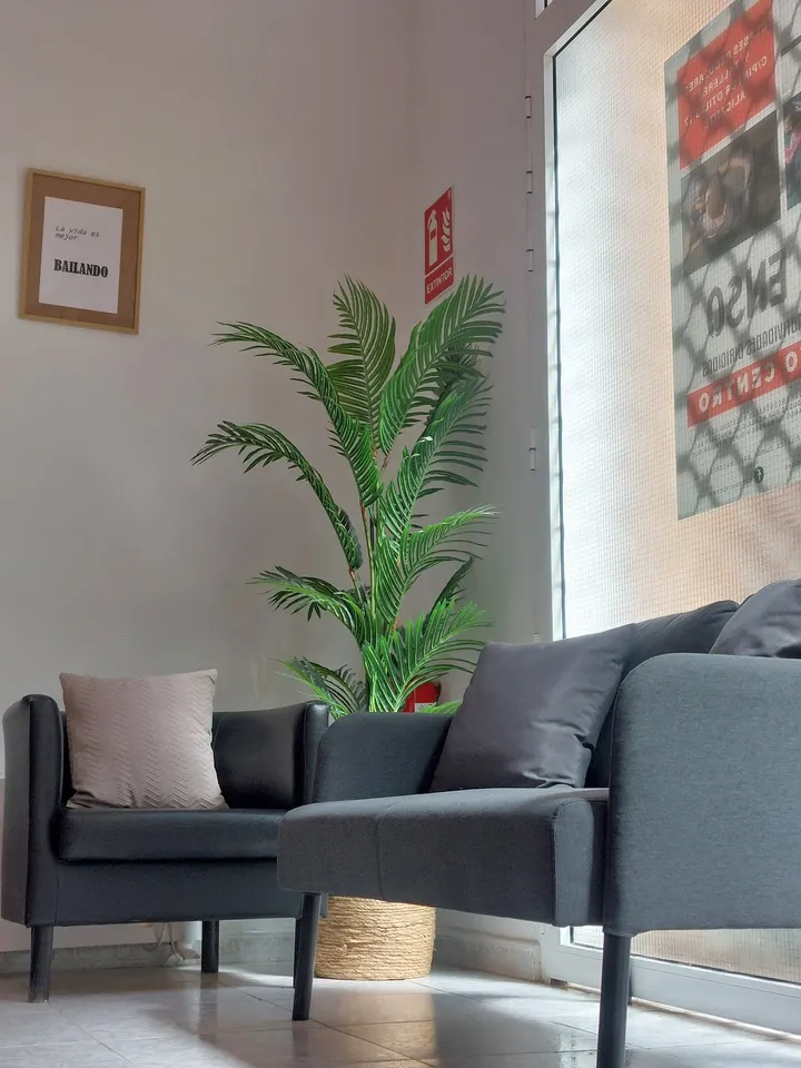 ENSO Centro de Actividades Dirigidas — yoga-studio en Alicante — 4