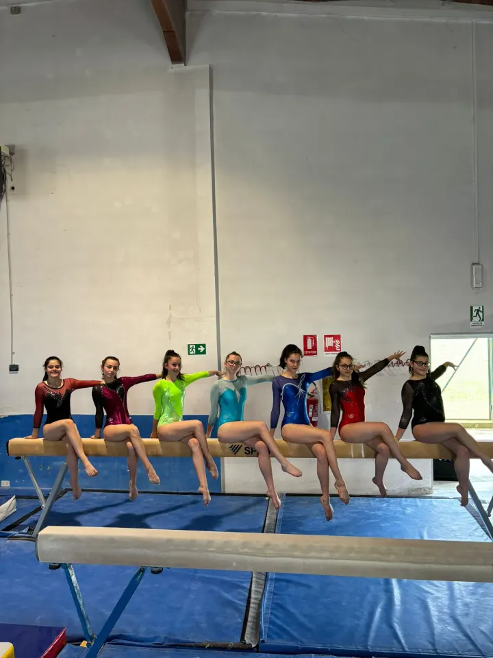 Pro Lissone Ginnastica — ginnastica-studio a Lissone — 3