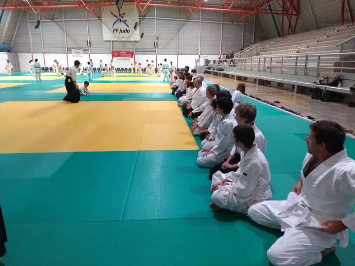 Espace Aïkido Taichi Chuan Toulouse — arts martiaux-studio à Toulouse — 3