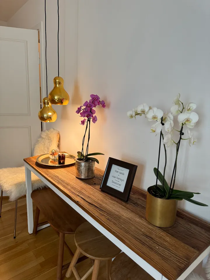 Illuma Somatics — breathwork-studio i Christianshavn, København — 3