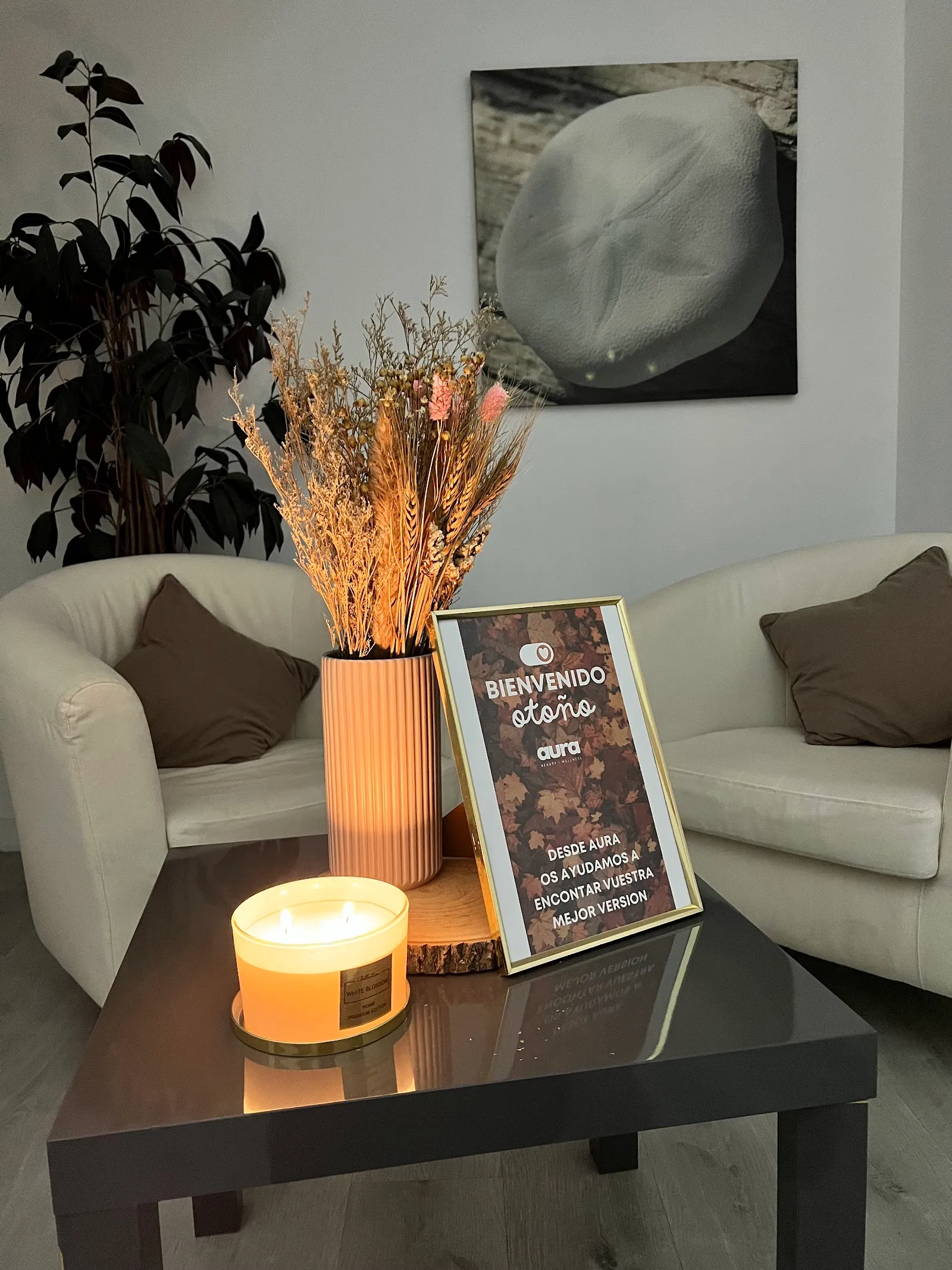 WELLNESS CENTER — pilates-studio en Talavera de la Reina — 4