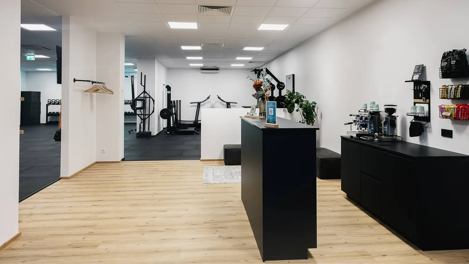 feal fit — pt-studio i Alzenau — 3
